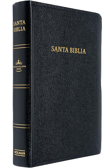 Santa Biblia  Centro De Literatura Cristiana Holman  Negra