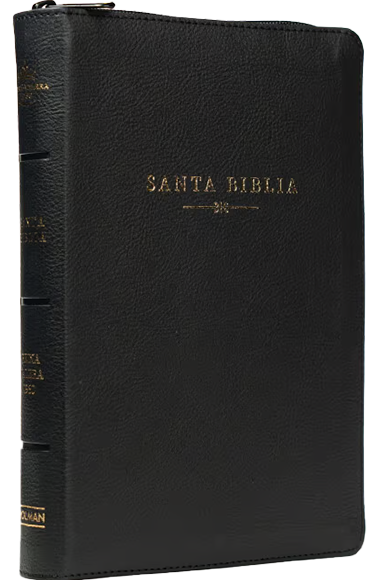 Santa Biblia  Holman  Letra Grande Pasta Negra
