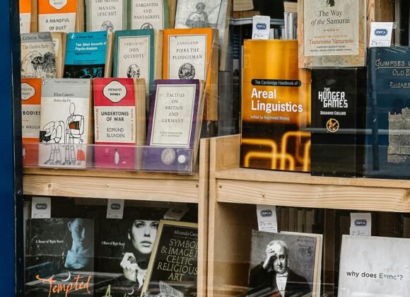 A diverse collection of books displayed in a bookstore window, showcasing various genres and authors.